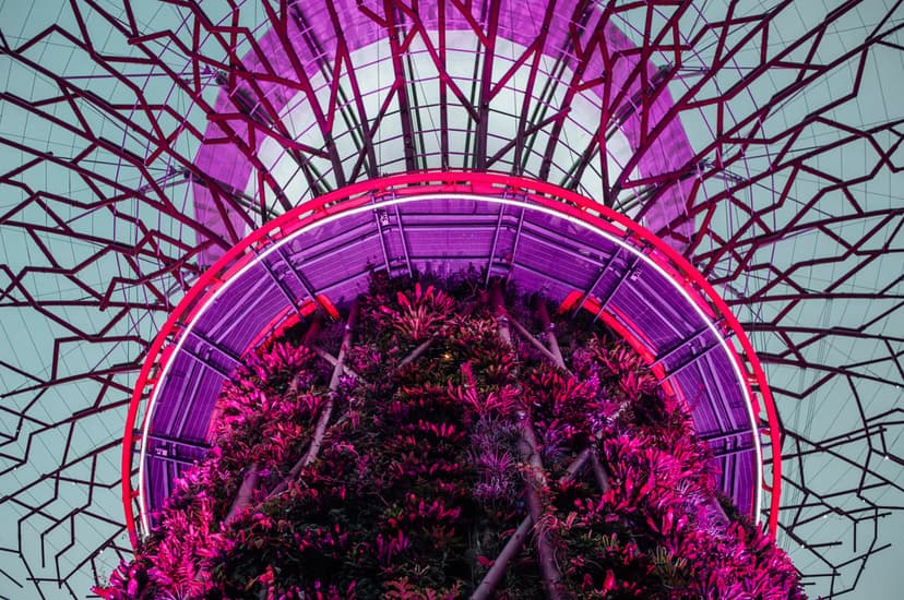 Towering metallic Supertrees glow with neon pink and purple lights above dense tropical garden foliage at night.