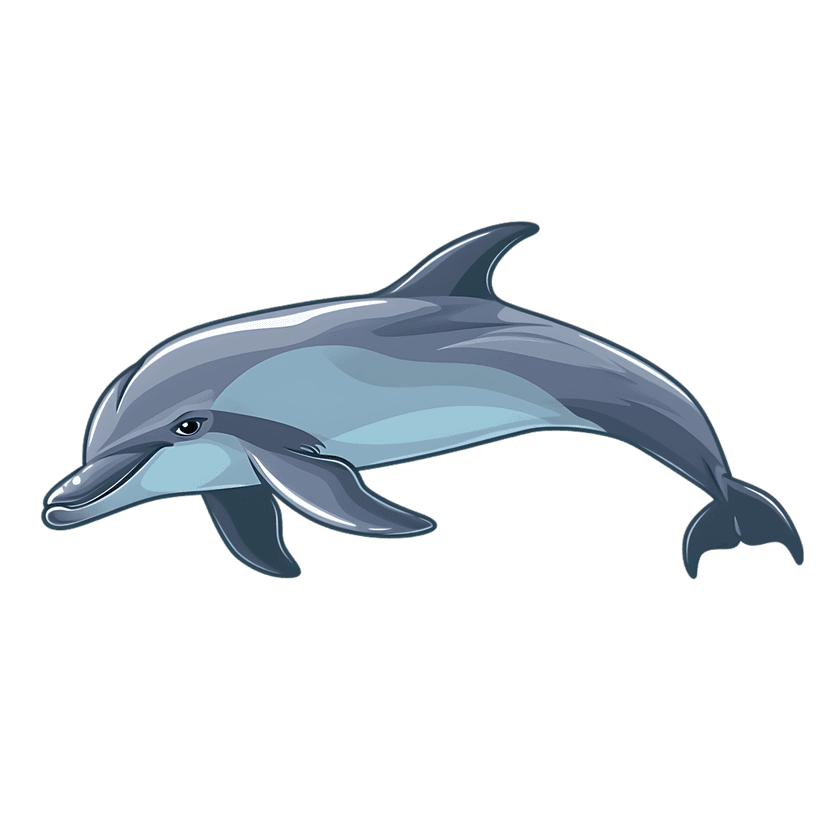 Dolphin illustration featuring blue gradients, clean lines, and a side profile view of a swimming marine mammal.