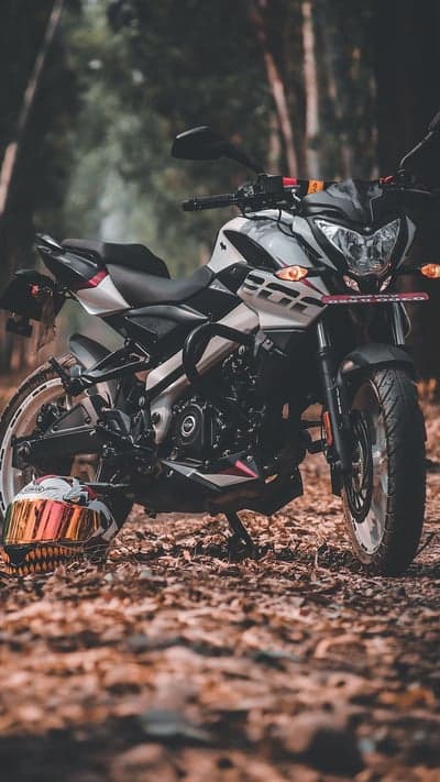 Motorcycle and Helmet in Autumn Forest