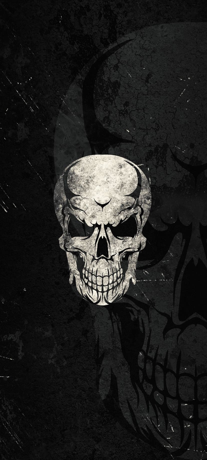 Weathered skull with tribal etchings sits against a dark cracked background with a faint secondary silhouette.