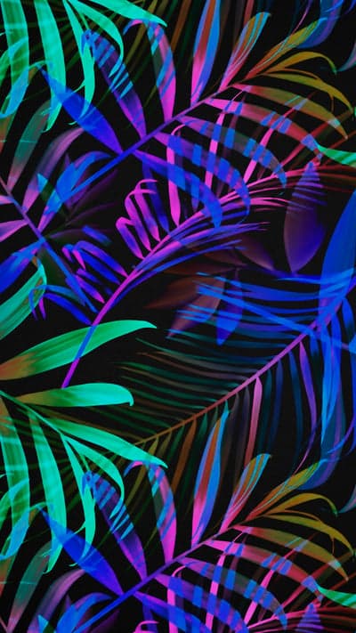Vibrant Neon Tropical Palm Leaves Dark Background Wallpaper