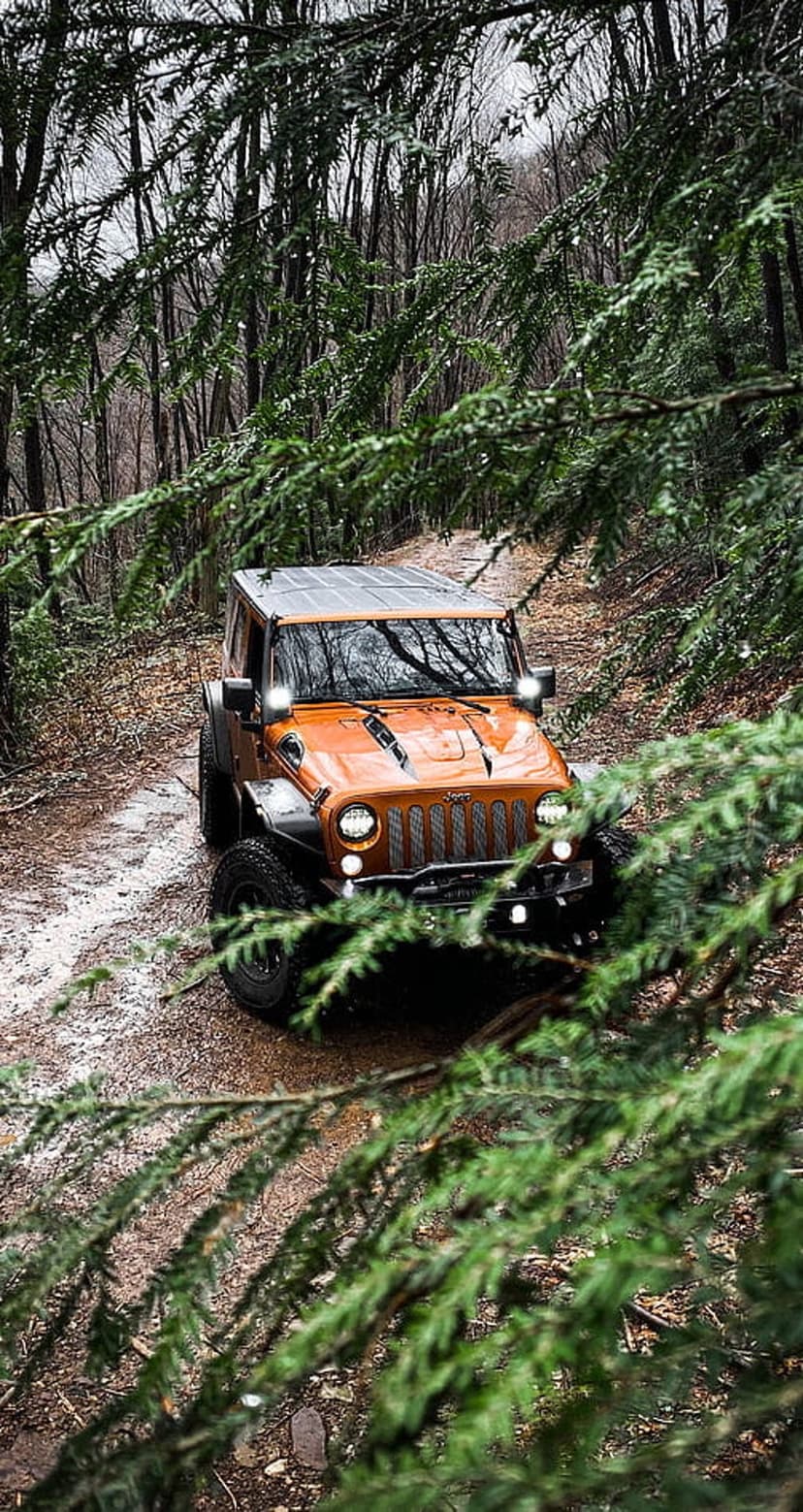 Orange Jeep Wrangler with glowing headlights drives through a muddy forest path surrounded by green pine branches.