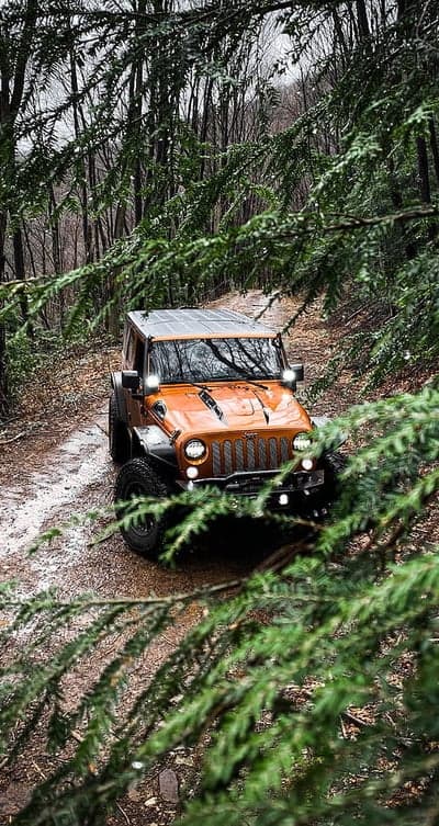Orange Jeep Off-Roading Through a Wet Forest Trail