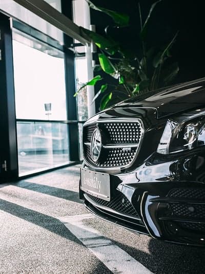 Black Mercedes-Benz Grille with Sunlight and Plants