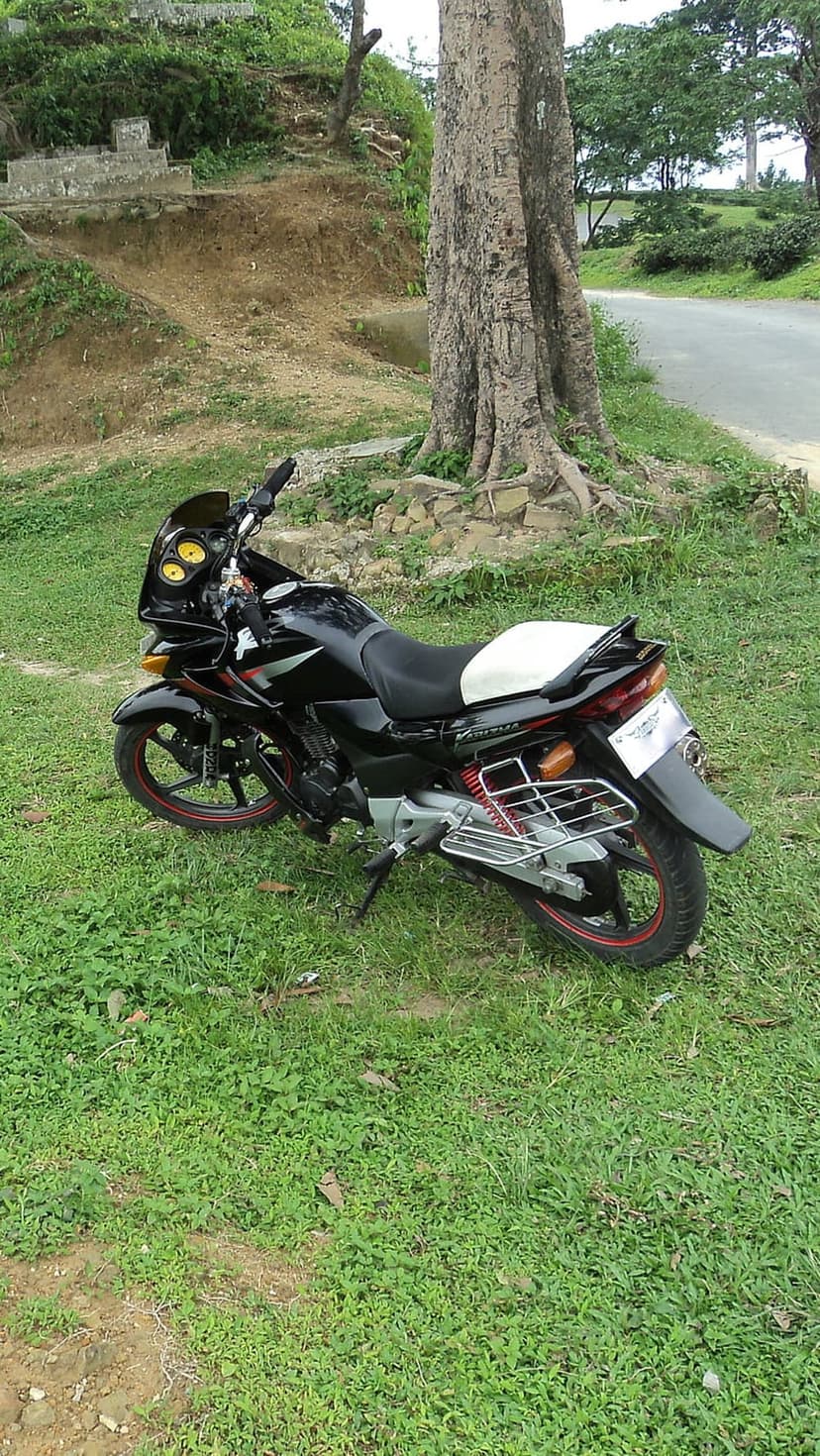 Black motorcycle with amber headlights parked on a green grassy hill beside a massive gnarled tree trunk.