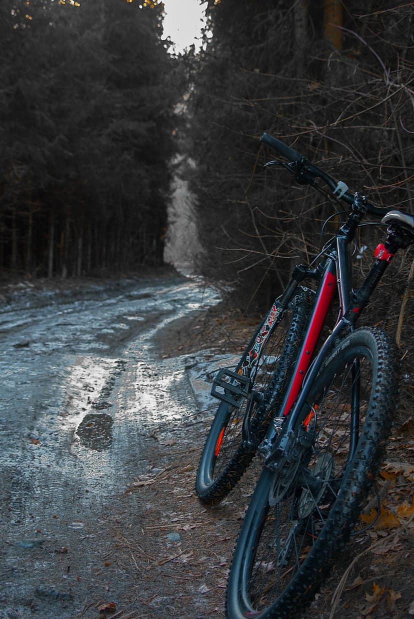 Red mountain bike stands on a muddy, icy path through a dark forest during a golden hour winter sunset.