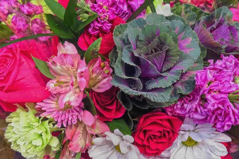 Pink roses, purple kale, and white daisies arranged in a dense bouquet with soft natural lighting and rich textures.