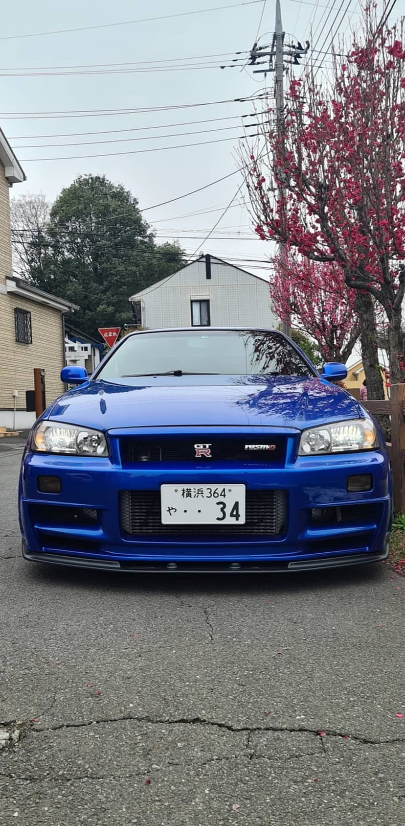 Blue Nissan Skyline R34 GT-R with a Japanese license plate parked on a cracked road near pink tree blossoms.