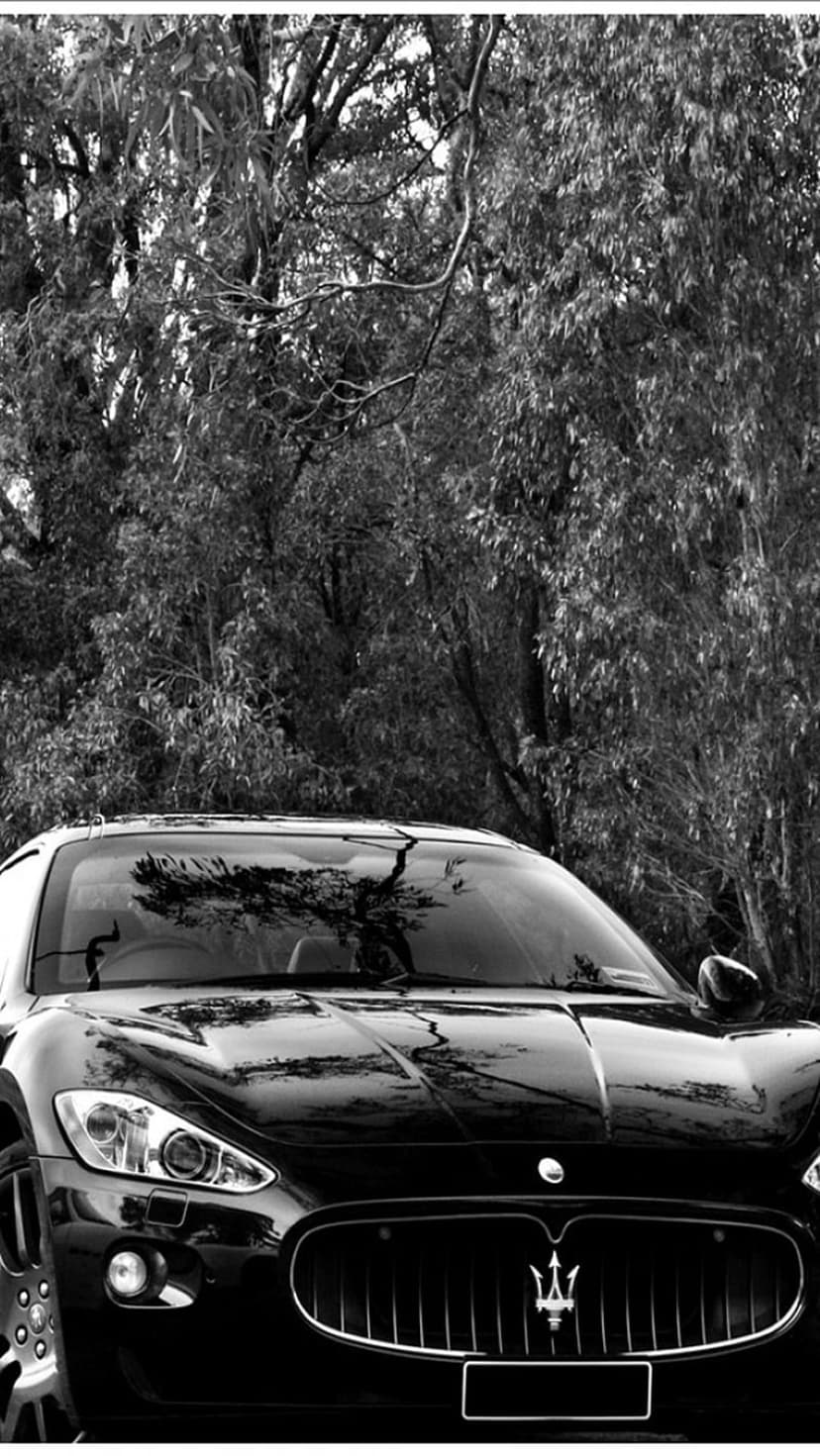 Black Maserati front grille and hood reflecting intricate tree branches in a high-contrast monochrome scene.