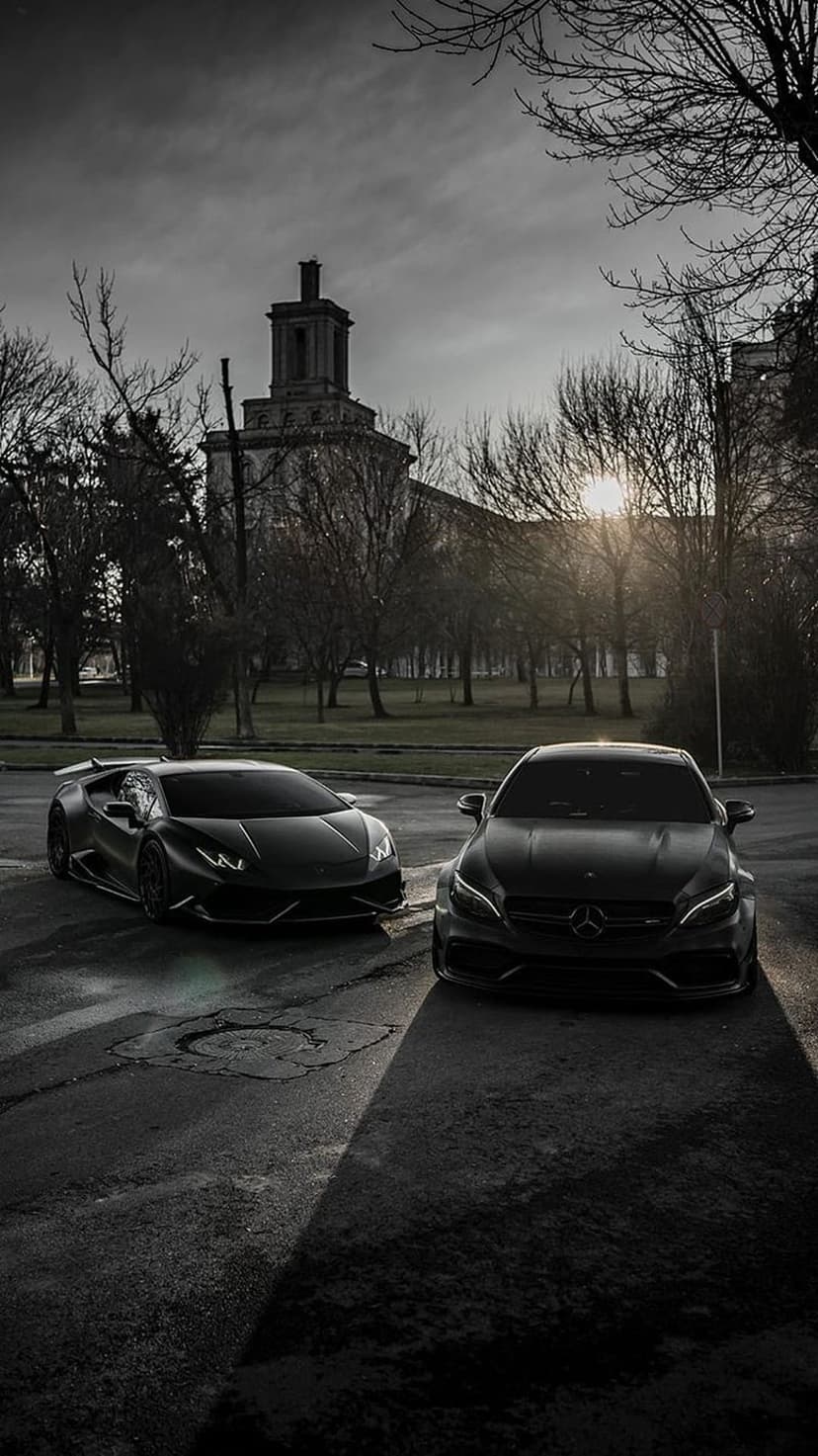 Lamborghini and Mercedes-Benz cars parked near a stone estate in a dramatic black and white landscape.