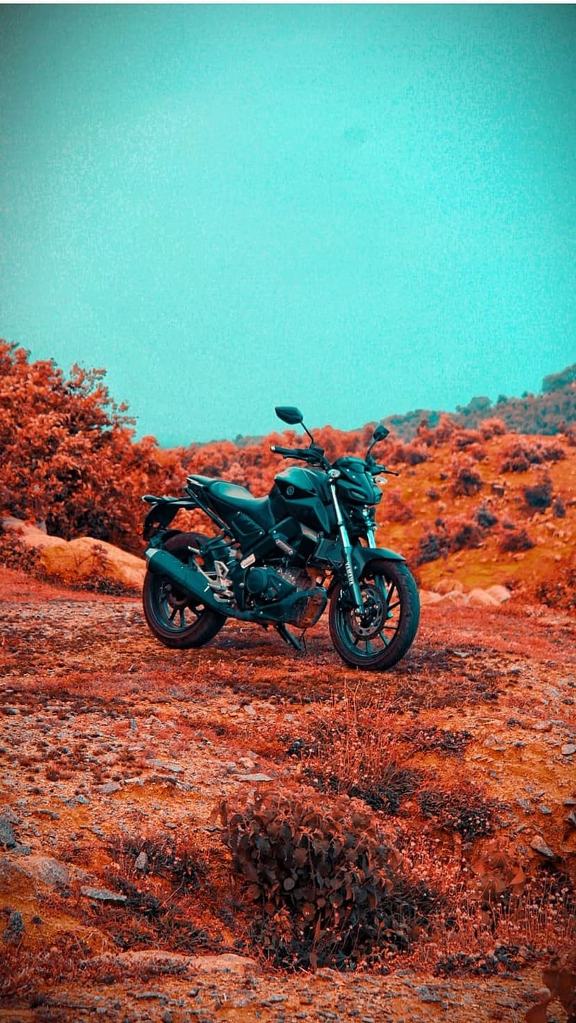 Black sport motorcycle parked on orange boulders beneath a teal sky and red trees in a high-contrast landscape.