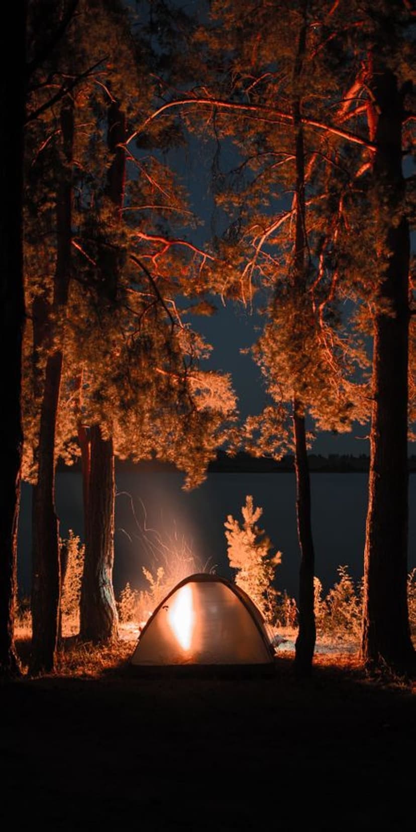 Campfire and glowing tent sit near a tranquil lake under tall pine silhouettes and a starry night sky.