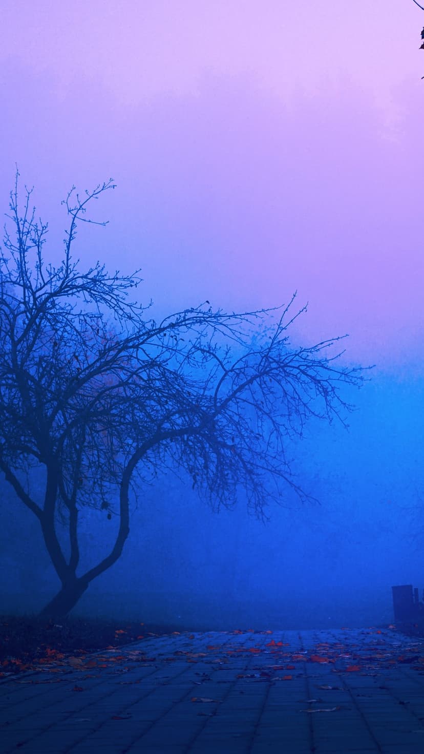 Bare-branched tree silhouetted against glowing blue and purple mist beside a fading asphalt sidewalk.