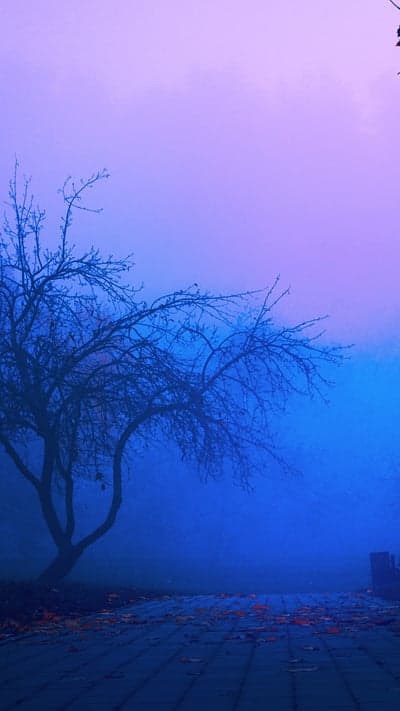 Electric Mist- A Lone Tree in Blue Twilight