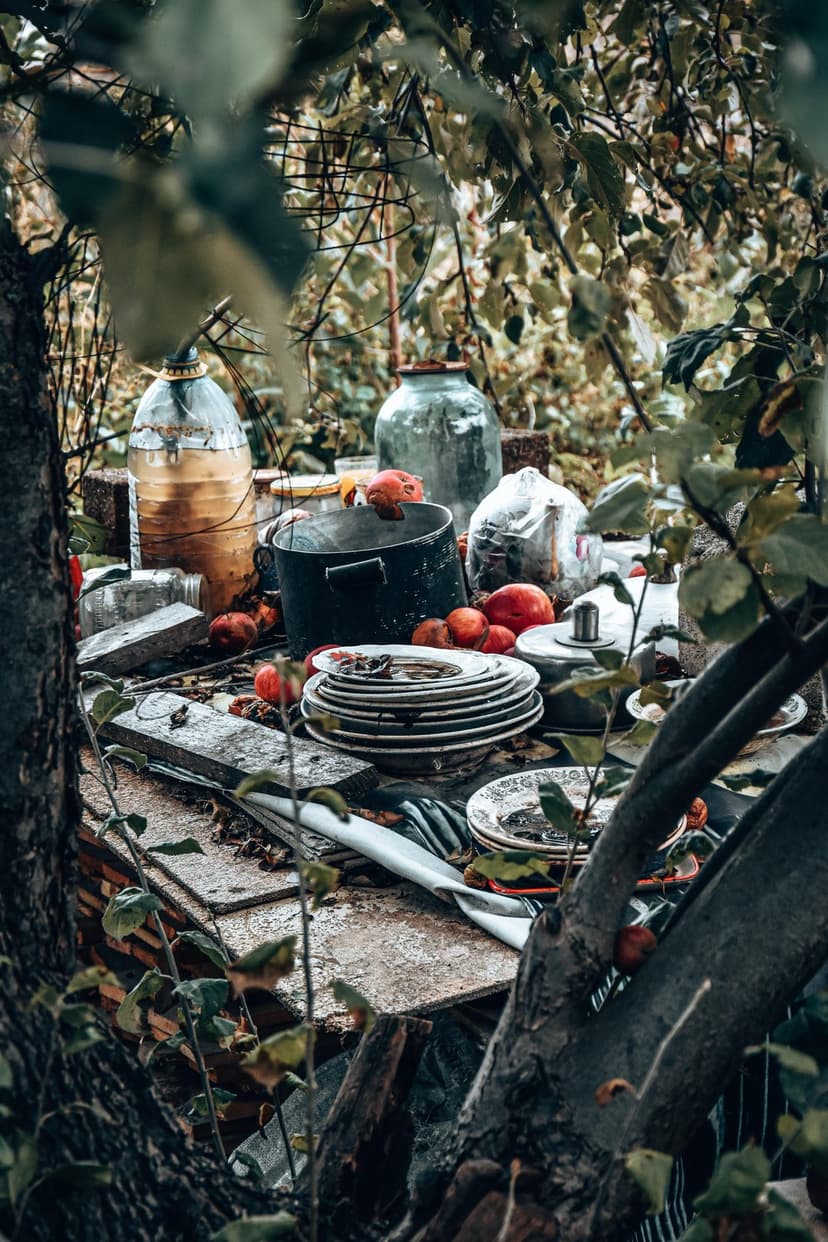 Vintage glass jars and stacked ceramic plates sit on a weathered wooden table surrounded by overgrown green leaves.