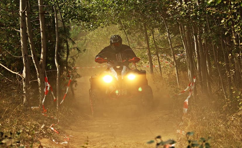 Quad bike rider speeding through a dense forest trail while kicking up thick clouds of dust behind the vehicle.