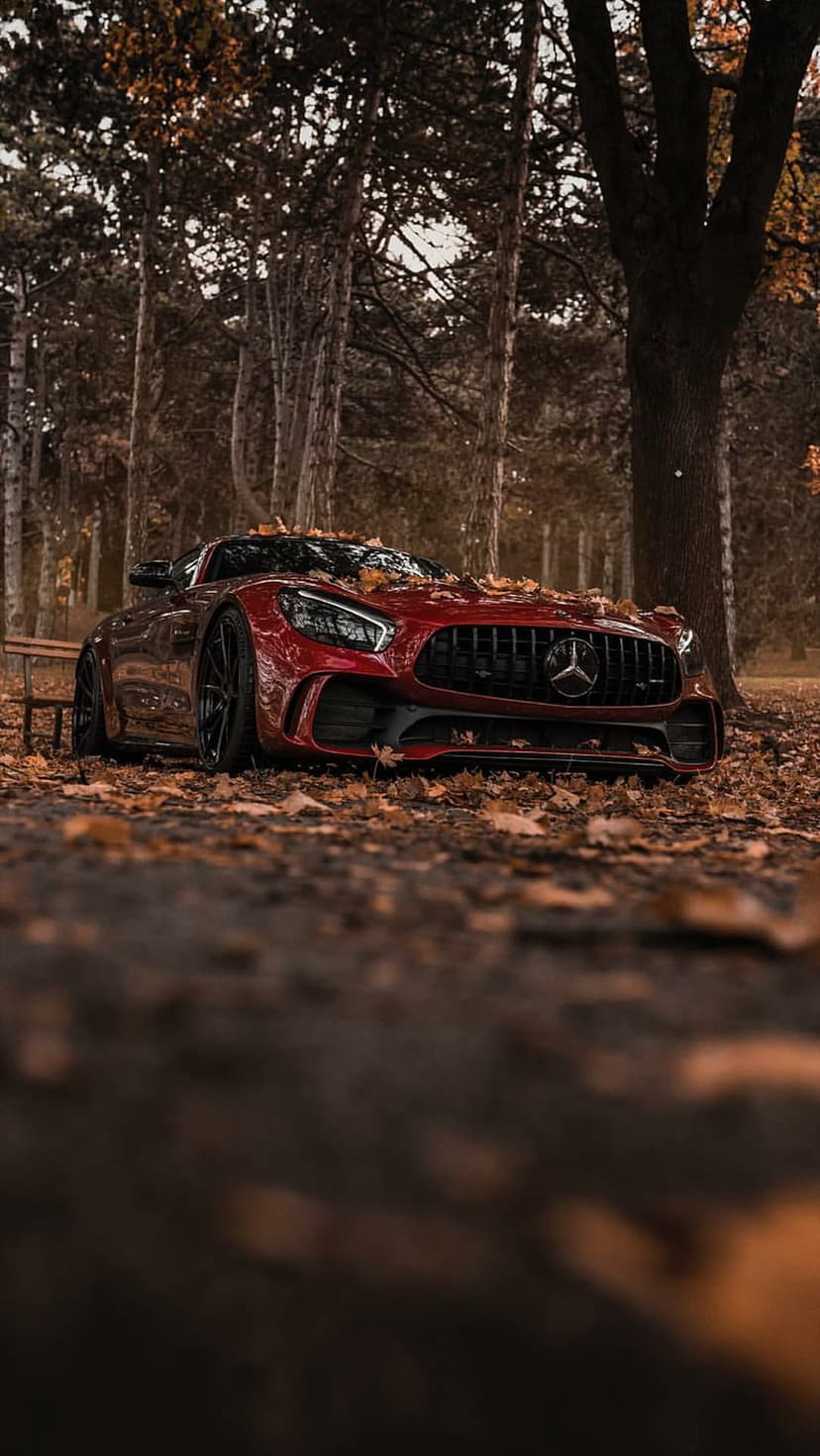 Red Mercedes AMG GT sports car parked on a dirt path covered in orange autumn leaves inside a sunlit forest.
