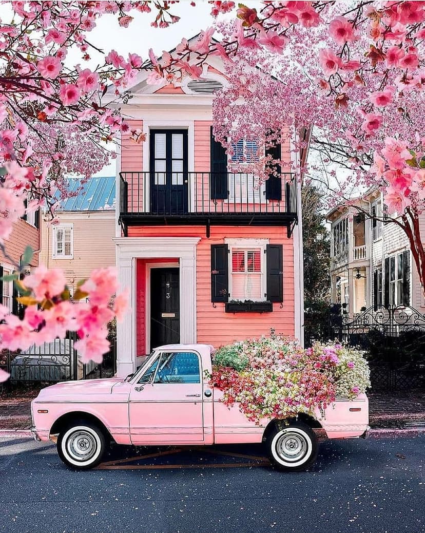 Vintage pink pickup truck filled with colorful flowers parked by a pastel house and blooming cherry trees.