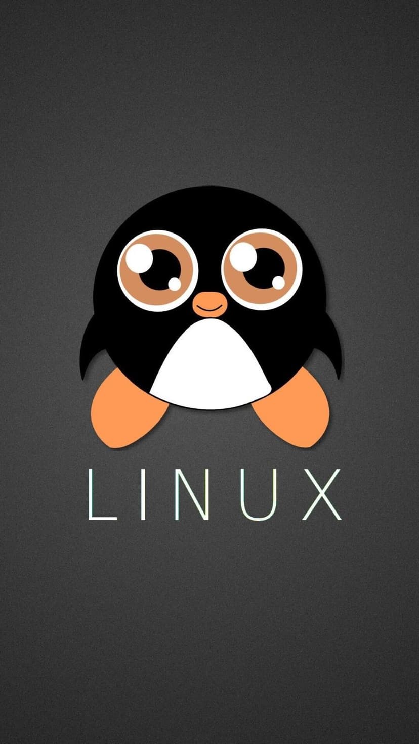 Tux penguin mascot with an orange beak and feet stands above white Linux text on a dark textured background.