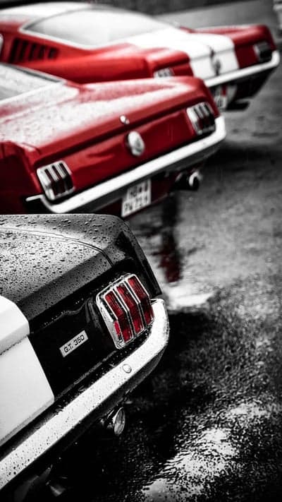 Rainy Day Mustang GT 350 Cars