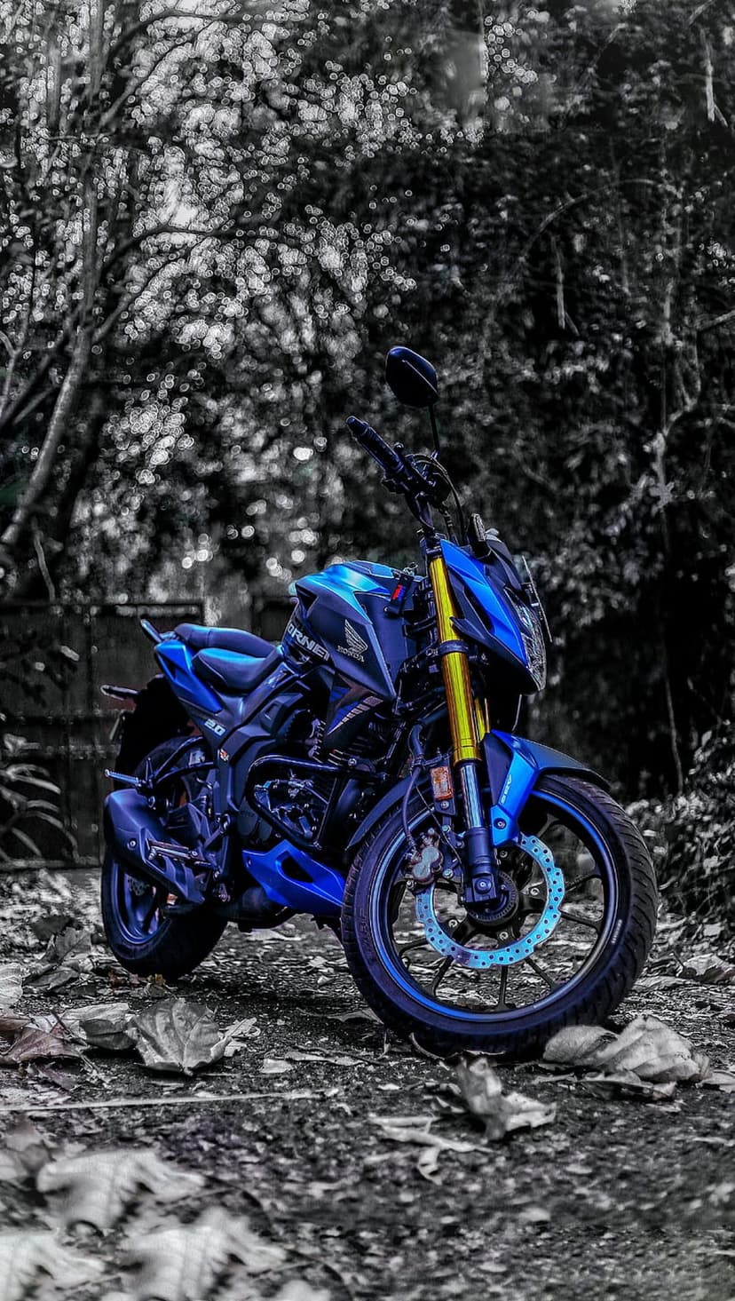 Blue Honda Hornet motorcycle parked on a forest floor covered in brown leaves surrounded by dense green trees.