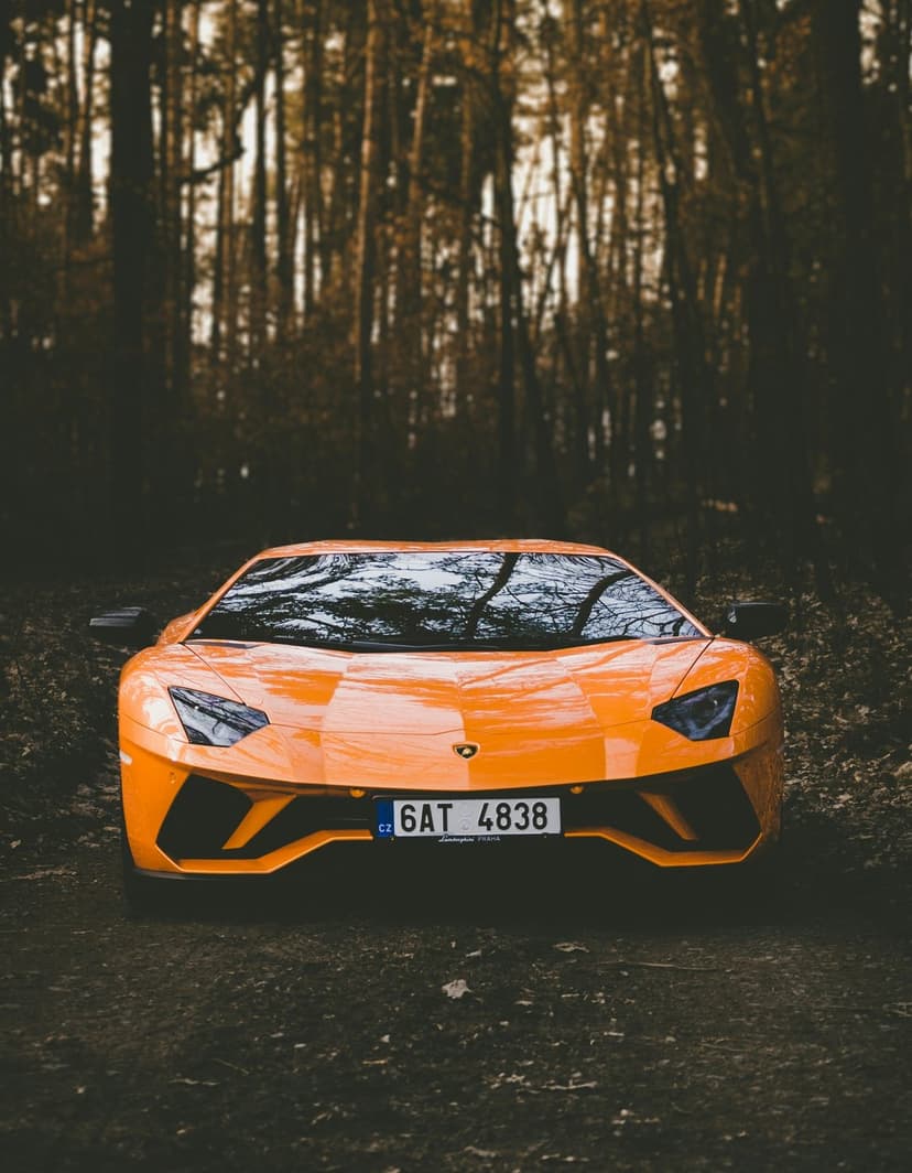 Orange Lamborghini Aventador parked on a dirt path surrounded by tall trees in a dark, moody forest setting.