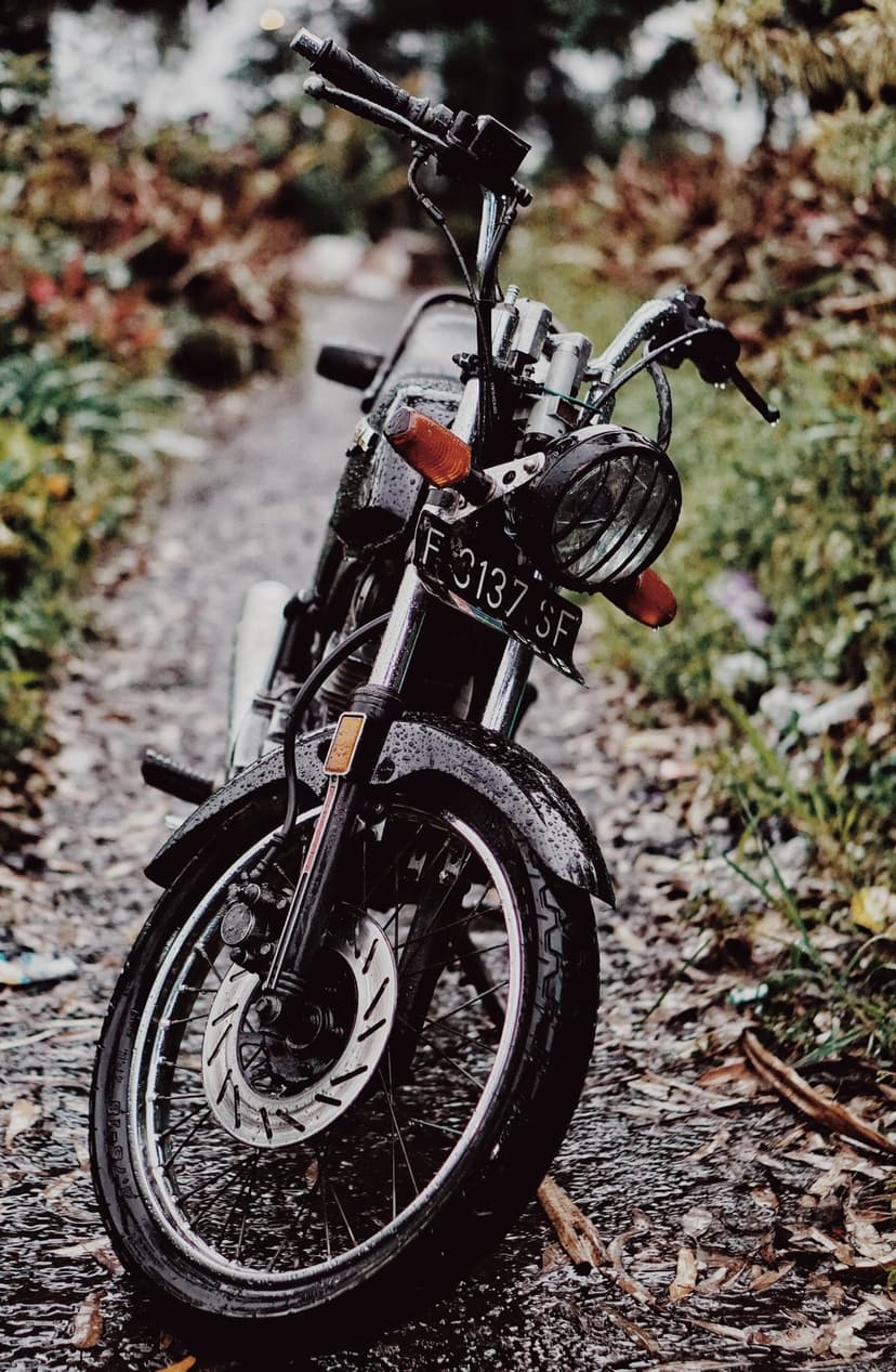 Vintage black motorcycle rests on a wet gravel path covered in orange autumn leaves under a moody, overcast sky.