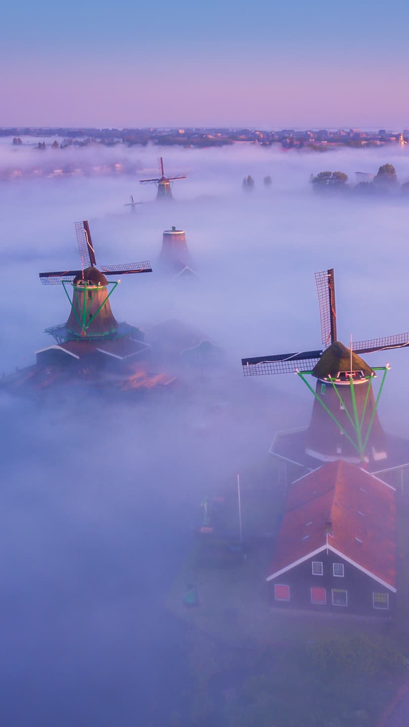 Dutch windmills with dark blades rise above a thick blanket of white morning fog during a hazy sunrise.