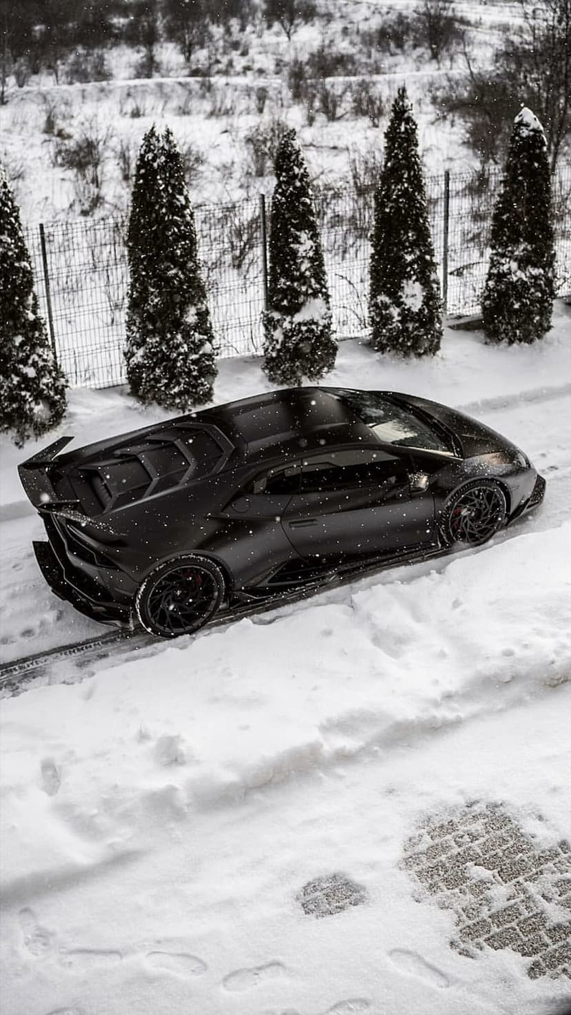 Black Lamborghini supercar parked on a snow-covered road surrounded by tall evergreen trees during a light snowfall.