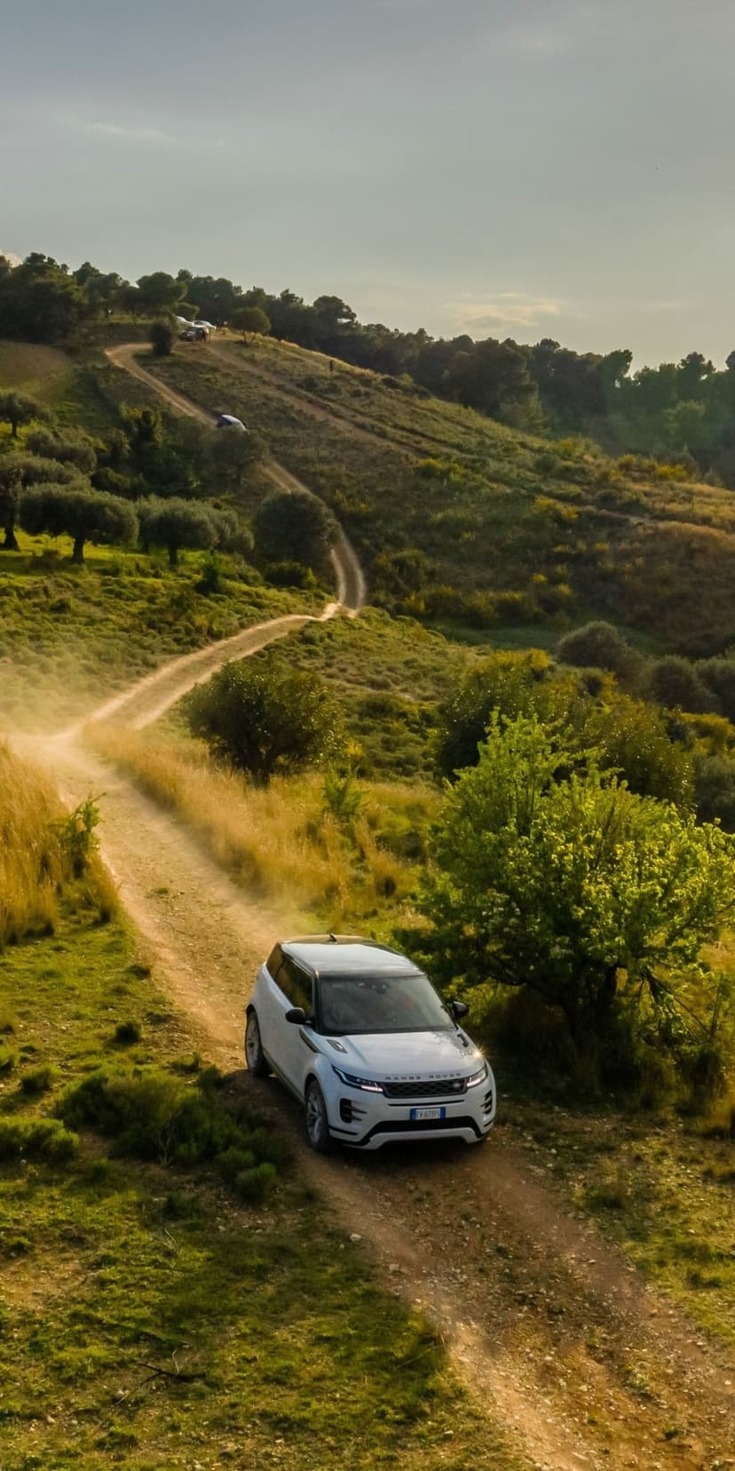 White Range Rover Evoque SUV driving uphill on a dusty dirt road surrounded by green olive trees and hills.
