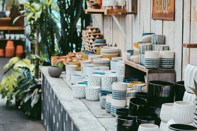 Indoor plant pots display in a garden shop