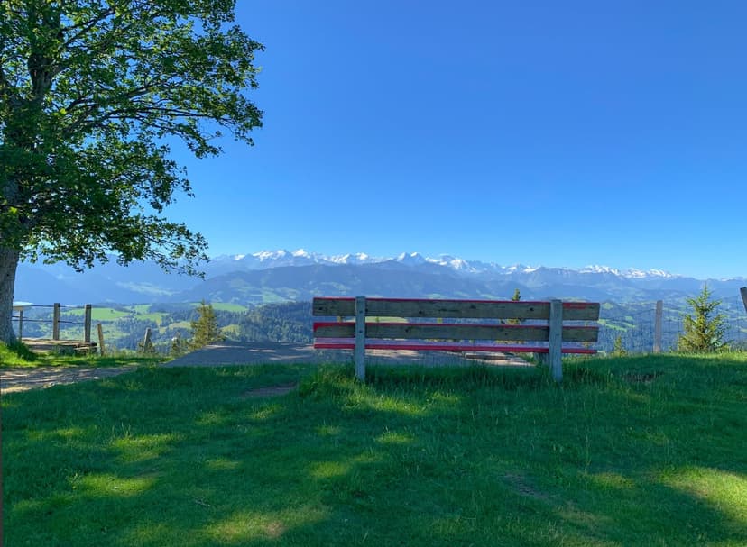Wooden bench with red trim on a grassy ridge facing jagged snow-capped mountain peaks under a clear blue sky.