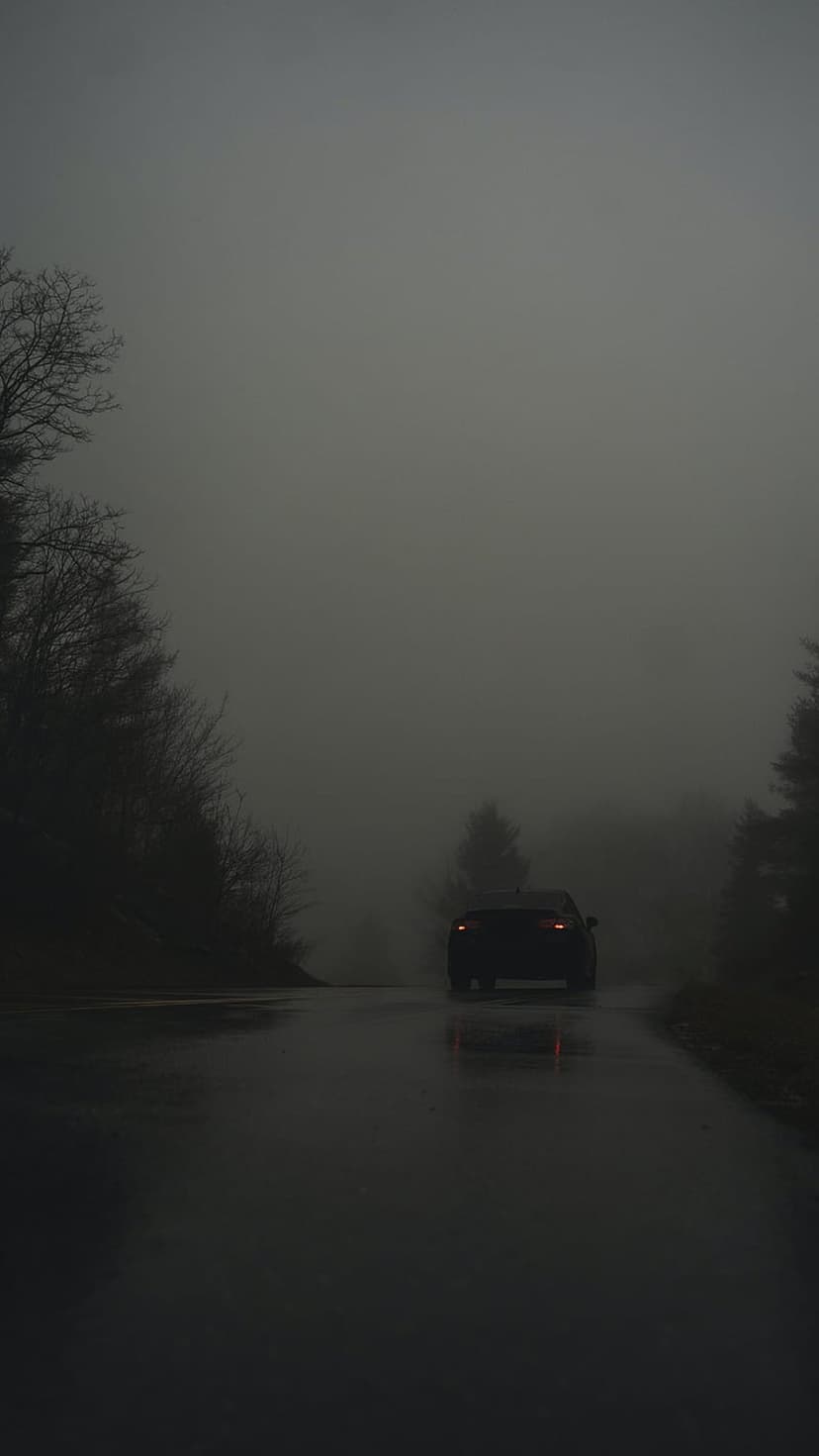 Red car taillights glow on a wet, foggy road lined with bare winter trees during a dark twilight evening.