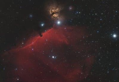 Horsehead Nebula in Orion: Iconic Cosmic Cloud