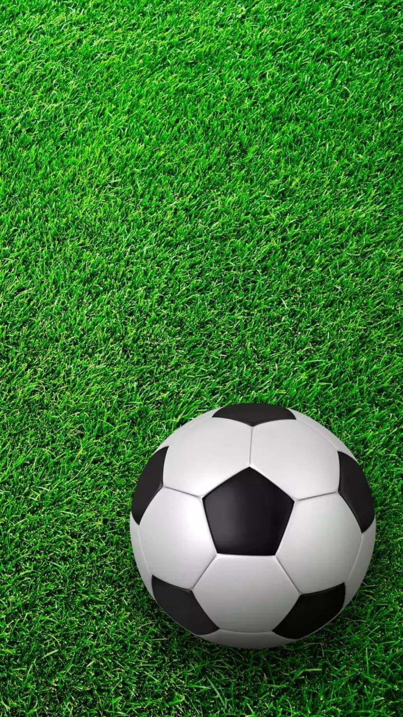 Black and white soccer ball rests on detailed green synthetic turf blades with a shallow depth of field focus.