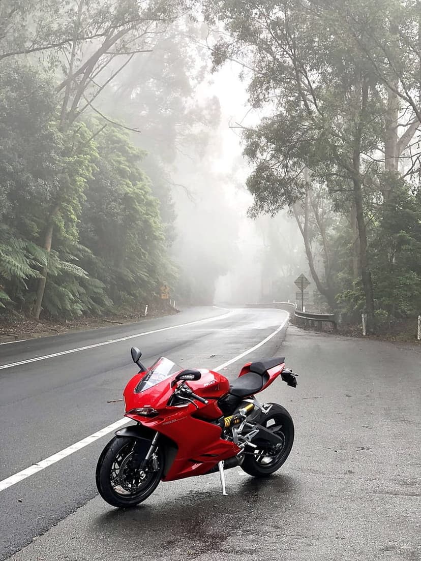 Red sport motorcycle parked on a wet, winding asphalt road leading into a dense, foggy pine forest.