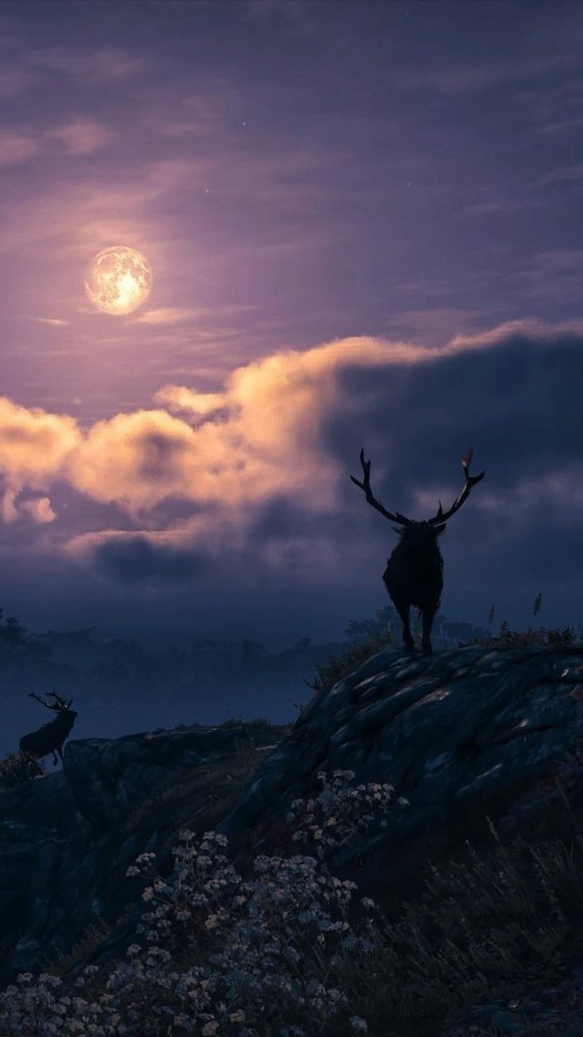 Majestic stag silhouette on a rocky cliff against a large glowing full moon and purple clouds at night.