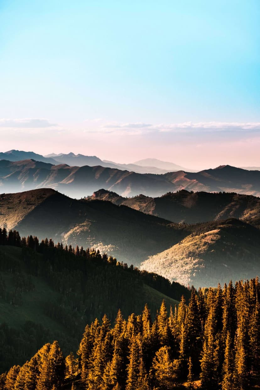 Forested mountain peaks rise through morning mist under a soft blue and pink dawn sky during a quiet sunrise.