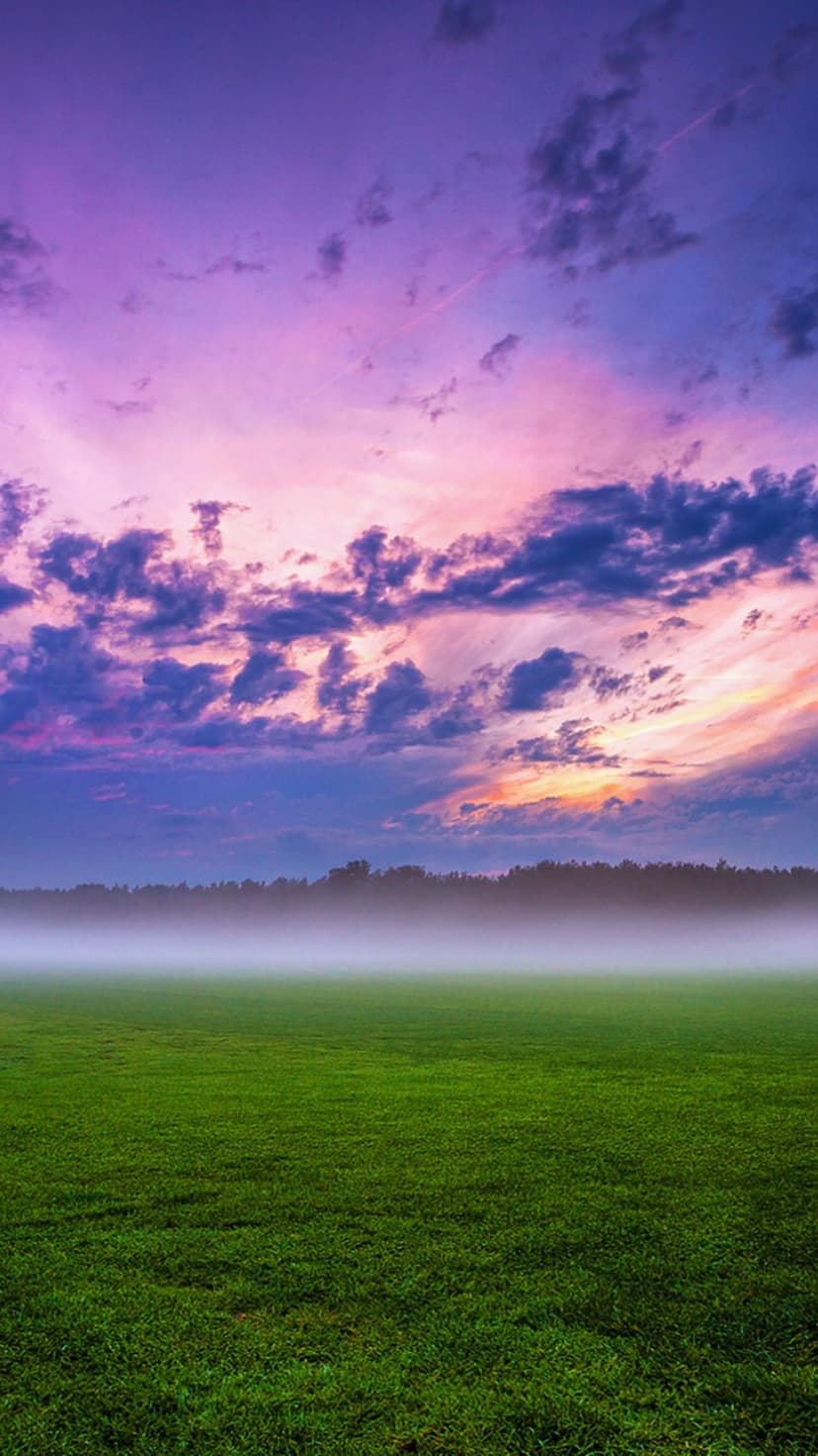 Vibrant green grass fields covered in low mist under a purple sky with pink clouds during a vivid sunset.