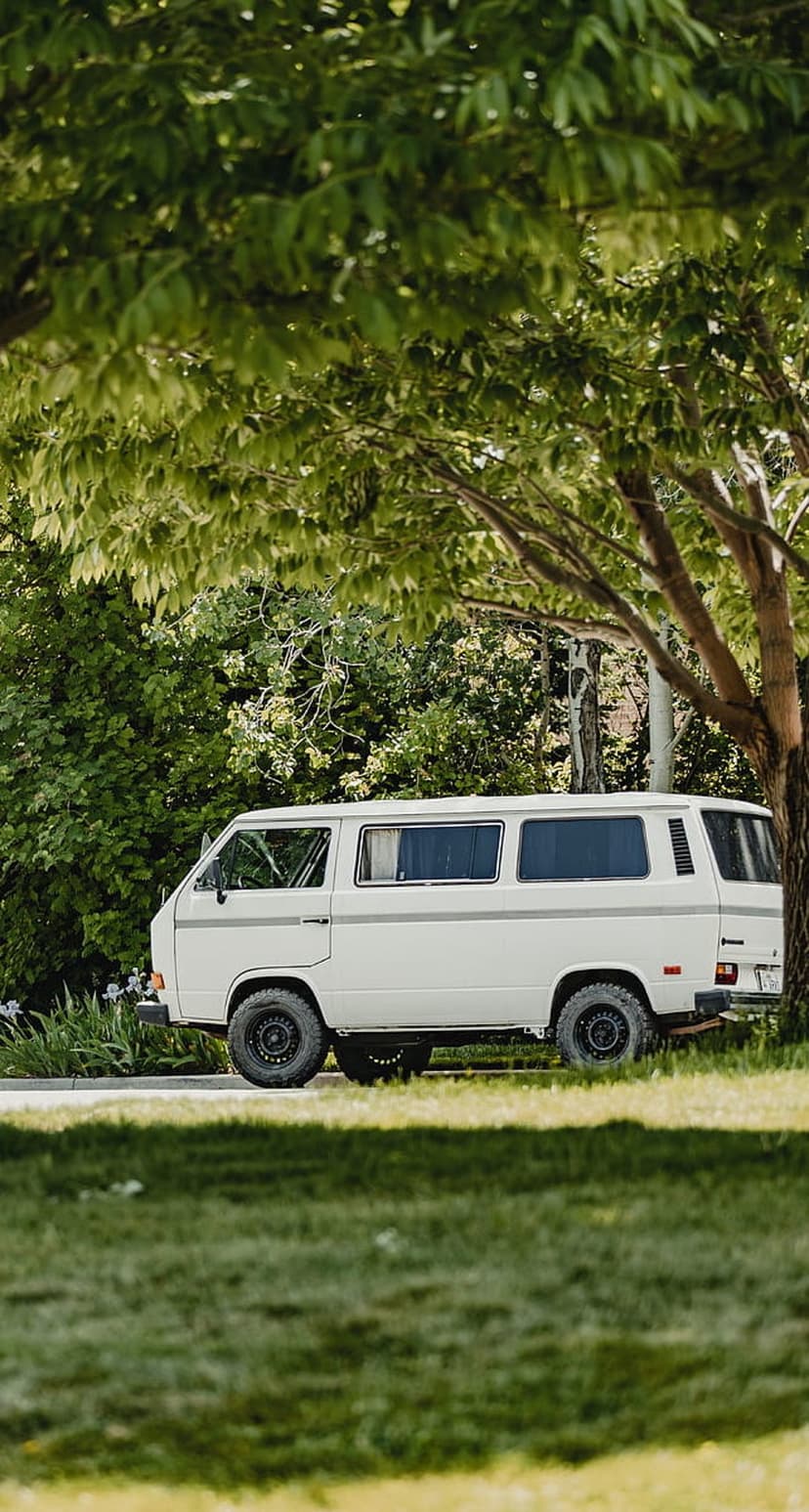 White vintage van parked under the thick green canopy of a large tree with dappled sunlight on the pavement.