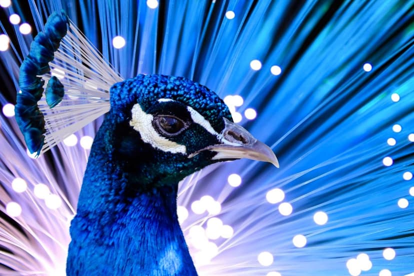 Blue peacock head with a golden crest stands before fanned feathers illuminated by glowing violet and cyan lights.