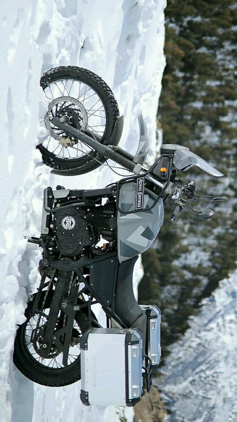 Royal Enfield motorcycle with luggage bags parked on a snowy mountain incline near a frost-covered pine forest.