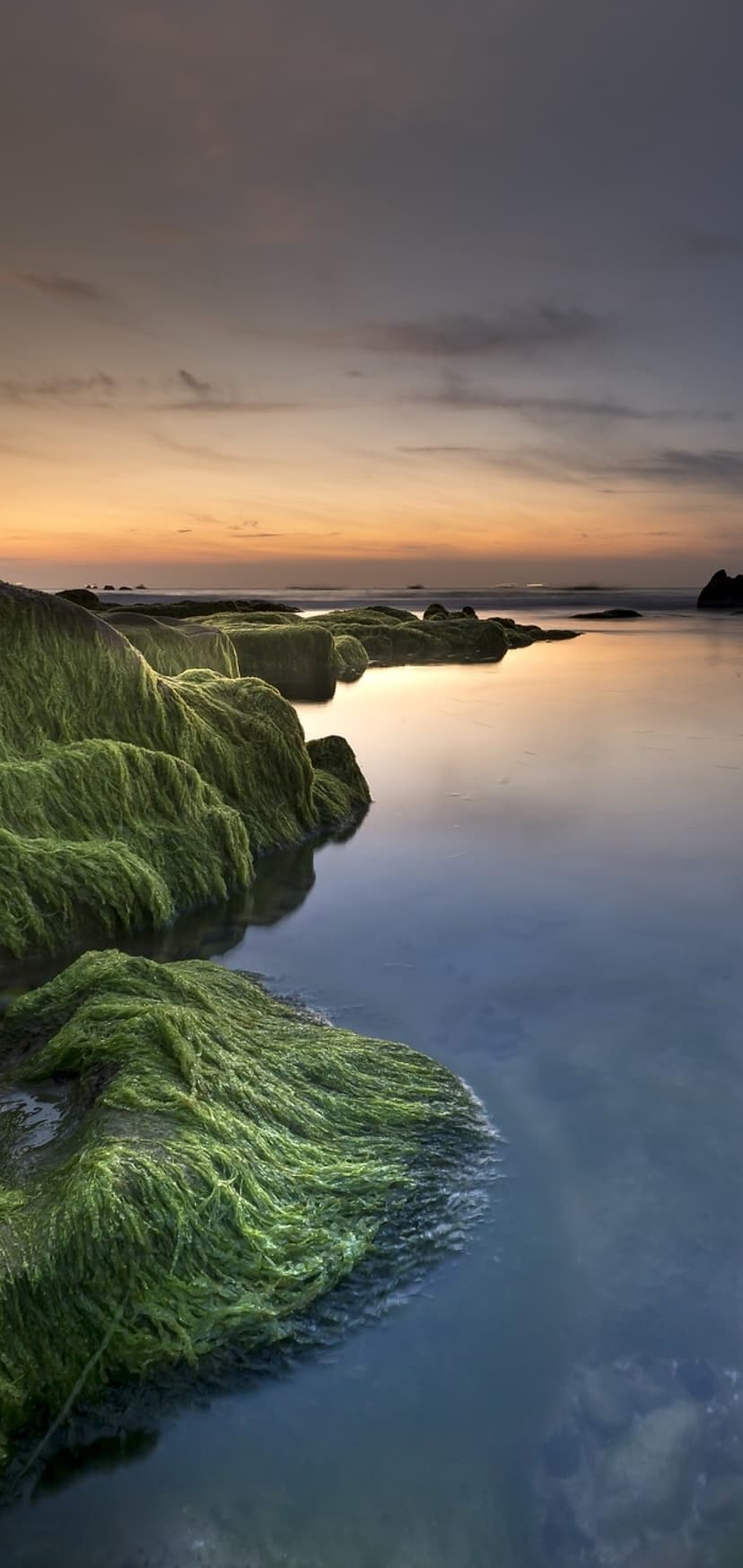 Green moss-covered rocks on a quiet beach reflect orange and violet twilight clouds across still ocean waters.