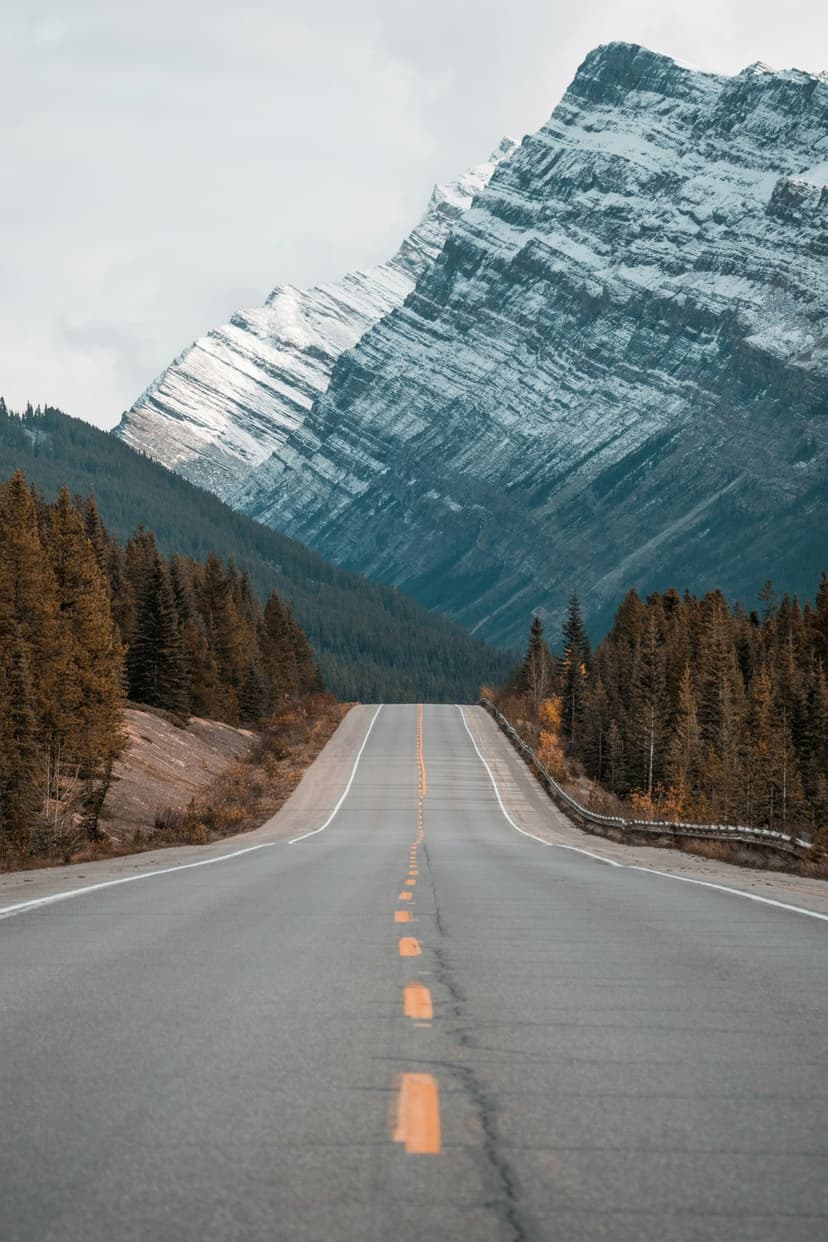 Winding asphalt road with yellow dashes leads through a pine forest toward massive snow-capped mountain peaks.