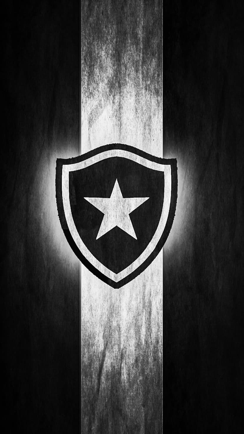 Botafogo shield logo with a white star centered on a vertically grained black and white textured background.