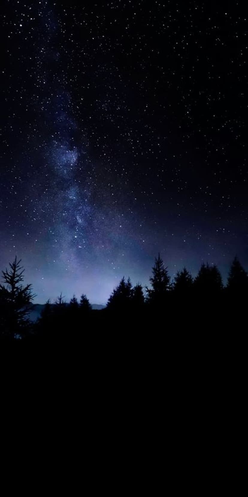 Shimmering Milky Way stars shine over the dark jagged silhouettes of a coniferous forest under a midnight sky.