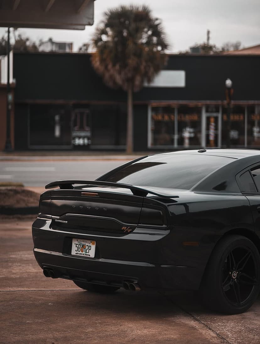 Black Dodge Charger R/T with a rear spoiler parked on a paved street near a palm tree and dark storefront.