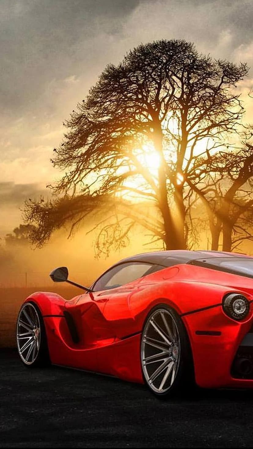 Red Ferrari supercar on a dark road beneath a detailed tree silhouette against a bright orange sunset sky.