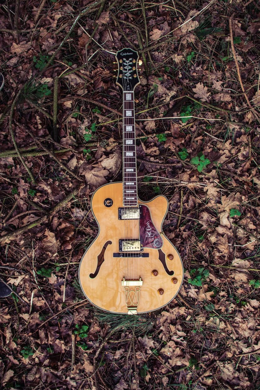 Hollow body acoustic guitar with f-holes lies vertically on brown autumn leaves and green forest undergrowth.