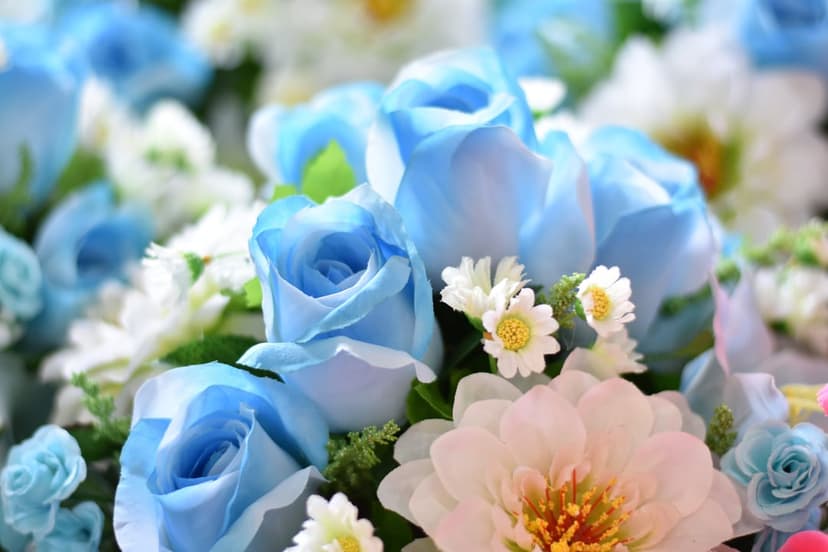 Light blue roses, white daisies, and a blush pink flower in a soft-focus vertical floral arrangement.
